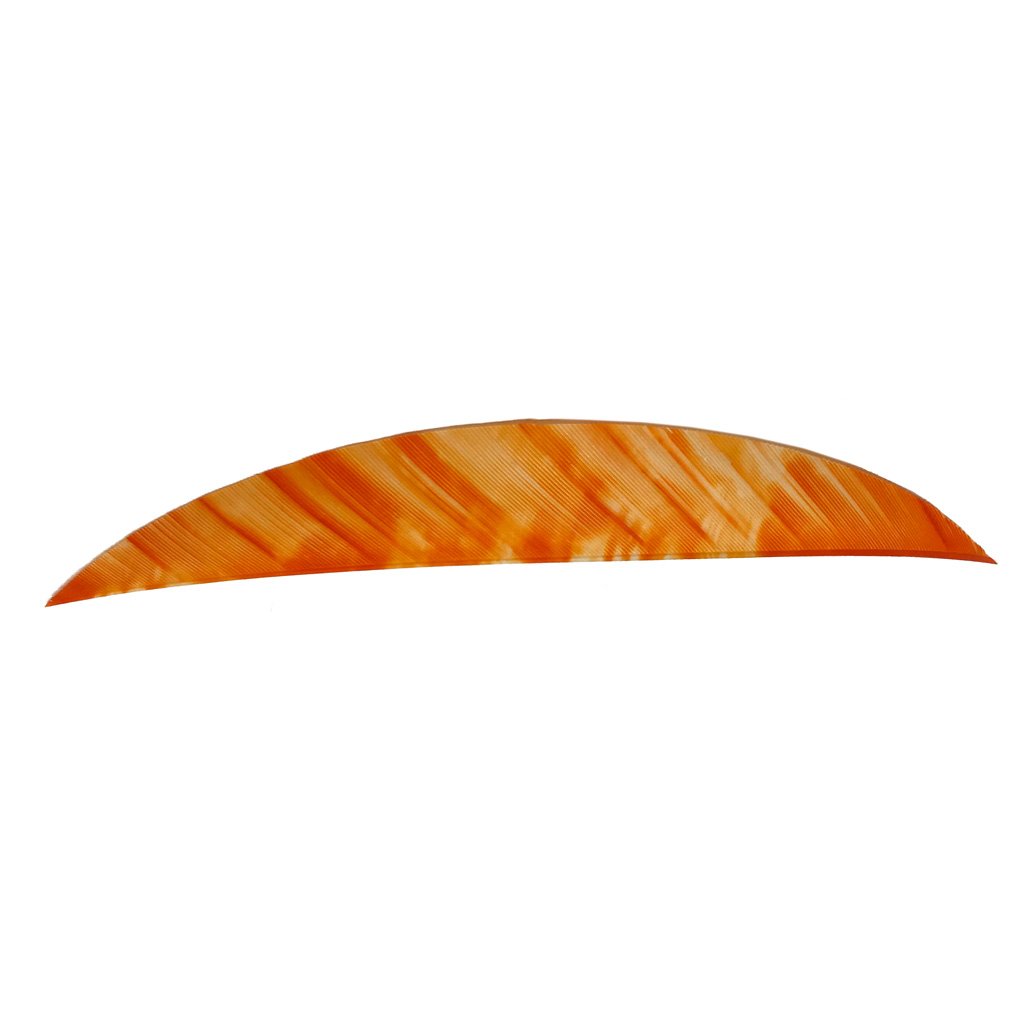 1407105_1.jpg Gateway Magnum Feathers Tre White/Orange 5.5 in. RW 50 pk.