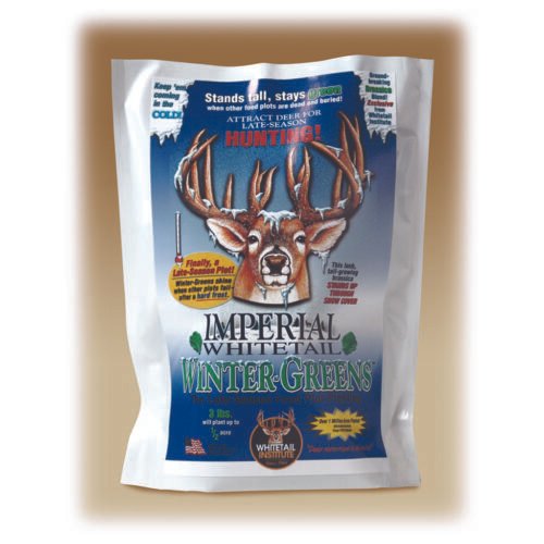 Whitetail Institute Wintergreens Seed 12 lb.