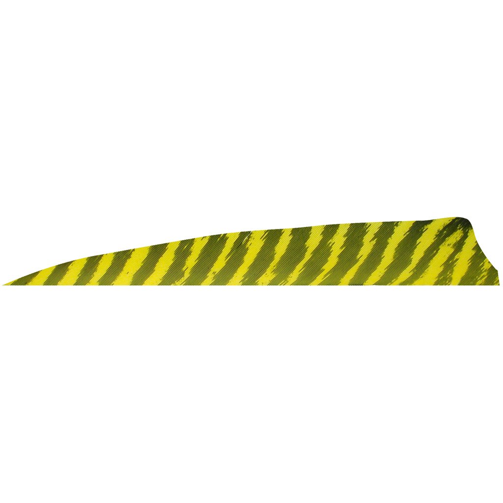 76620_1.jpg Gateway Shield Cut Feathers Barred Yellow 4 in. RW 100 Pk.
