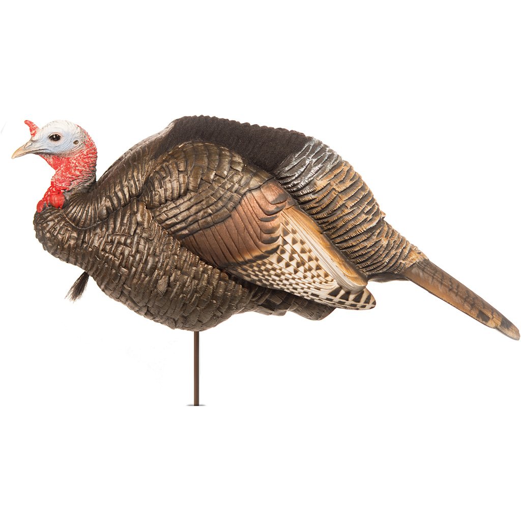 87100_1.jpg Dave Smith Decoys 3/4 Strut Jake Decoy