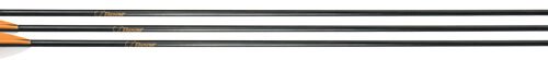 BEAR ARCHERY YOUTH SAFETYGLASS - ARROWS 28" 3PK