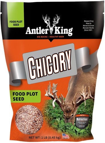 AKC1_1.jpg ANTLER KING CHICORY 1# BAG - PERENNIAL 1/4 ACRE