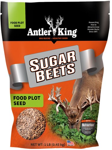 AKSB1_1.jpg ANTLER KING SUGAR BEETS 1# BAG - ANNUAL 1/8 ACRE
