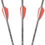 AX10002.jpg AXE CROSSBOW MICRO BOLT .166" - W/RED LIGHTED NOCK 18" 3PK