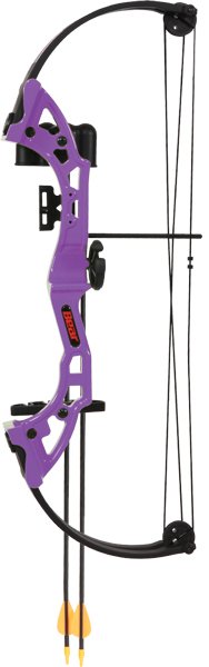 AYS300PL.jpg BEAR ARCHERY YOUTH COMPOUND - BOW BRAVE RH PURPLE AGE 8+