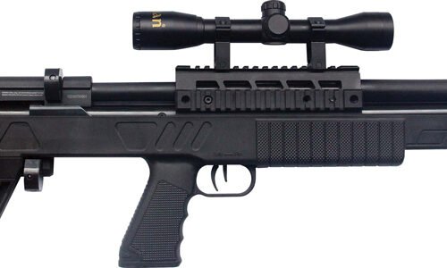 BEEMAN 13625 PCP REGULATED - COMMODORE .22 CAL. 10 SHOT