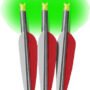 BNECC223G_1.jpg LUMENOK XBOW ARROW 22" BARNETT - HEADHUNTER GREEN CRESCENT 3PK