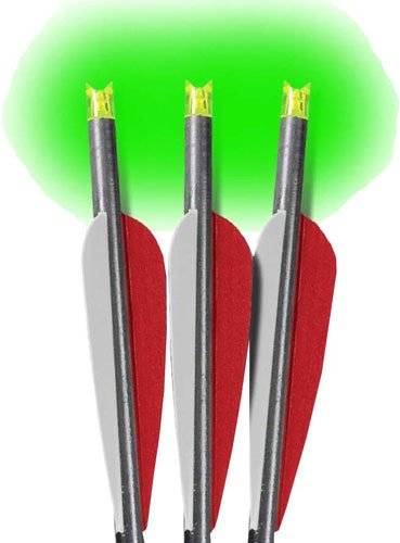 BNECC223G_1.jpg LUMENOK XBOW ARROW 22" BARNETT - HEADHUNTER GREEN CRESCENT 3PK