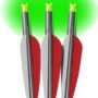 BNECC3G_1.jpg LUMENOK XBOW ARROW 20" BARNETT - HEADHUNTER GREEN CRESCENT 3PK