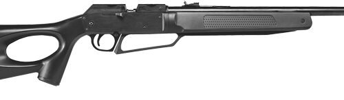 DAISY WINCHESTER MODEL 77 .177 - BB & PELLET PNEUMATIC RIFLE