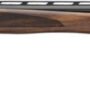 G018709303_1_1 BROWNING CYNERGY CX 12GA 3" - 30"VR BLUED/WALNUT