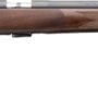 BROWNING T-BOLT TARGET 17HMR - 20" BULL BBL SR BLUED/WALNUT