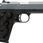 BROWNING 1911-380 BLACK LABEL - 380ACP 3.58"CMP 8RD NTN LGTS*