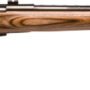 SAVAGE 25LW VARMINTER 22HORNET - 24" ACCU TGR BLUE/BRN LAMINATE