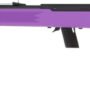 SAVAGE 64F 22LR 21" BBL - BLUED/PURPLE SYNTHETIC
