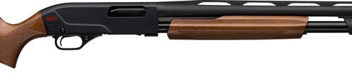 WINCHESTER SXP YOUTH 20GA 3" - 22"VR MATTE BLACK WALNUT