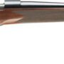 WINCHESTER MODEL 70 SUPER - GRADE 6.5CM 24" BLUED/WALNUT