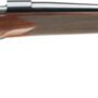 G535203294.jpg WINCHESTER MODEL 70 SUPER - GRADE 6.5PRC 24" BLUED/WALNUT