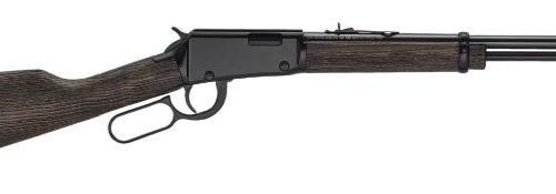 HENRY H1 GARDEN GUN 22WMR - 18.5" SMOOTH BORE BLUED WALNUT