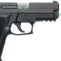LMS2291G LASERMAX LASER GUIDE ROD GREEN - SIG SAUER P228/P229