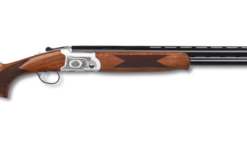 POINTER ACRIUS FIELD 20/26