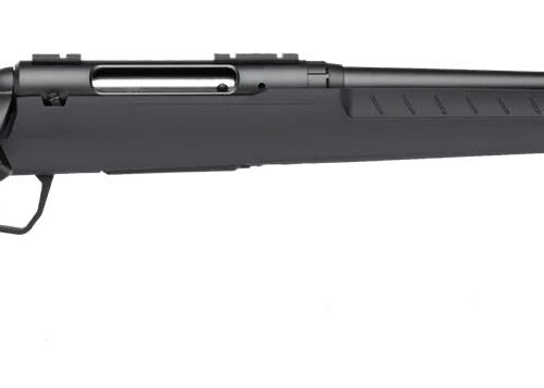 axis2grayr645c-1 SAVAGE ARMS AXIS 2 22-250 BL/GRY 22"