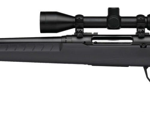 SAVAGE ARMS AXIS 2 270WIN BL/GRY PKG LH