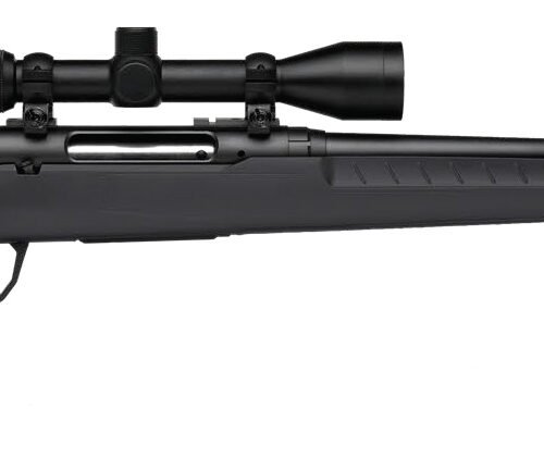 axis2xpgrayre48a SAVAGE ARMS AXIS 2 6.5CR BL/GRY 22" PKG