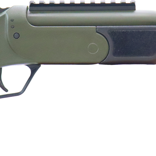 ROSSI BRAWLER 300BLK 9" BL/ODG