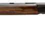 BROWNING A5 HUNTER SWEET 16 - 2.75" 26"VR BLACK/WALNUT