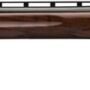 BROWNING CXT TRAP 12GA 3" - 30"VR BLUED/WALNUT