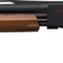 WINCHESTER SXP YOUTH 20GA 3" - 22"VR MATTE BLACK WALNUT