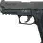 lms2291g_left LASERMAX LASER GUIDE ROD GREEN - SIG SAUER P228/P229