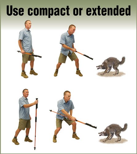 zaphs_in-use.jpg PSP ZAP STUN GUN HIKE N STRIKE - ADJ 29-56" 950000 VOLTS