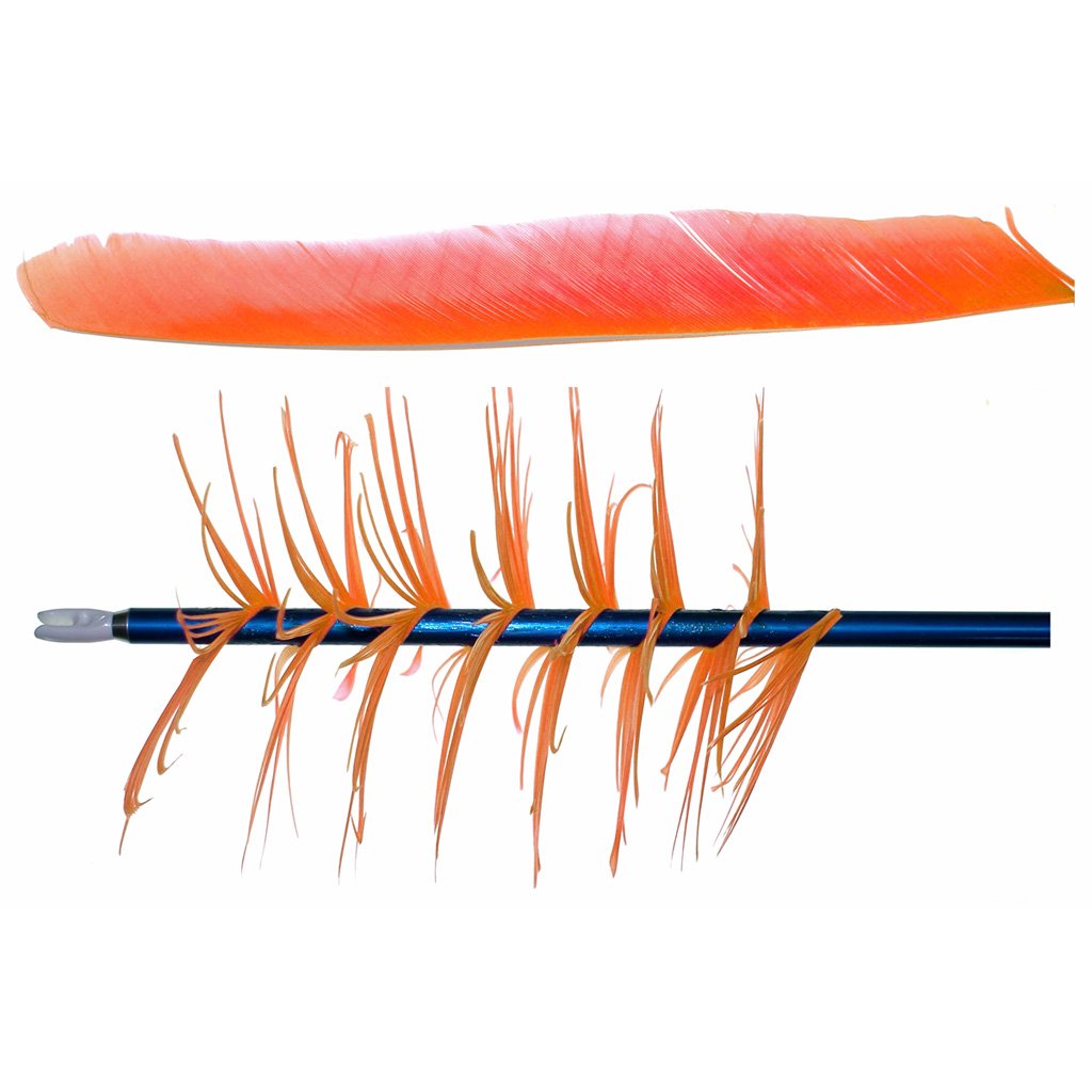 OLYMPUS DIGITAL CAMERA Trueflight Spiral Wrap Flu-Flu Feathers Orange RW 100 pk.