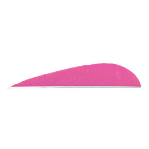 8442_1 Trueflight Parabolic Feathers Pink 3 in. LW 100 pk.