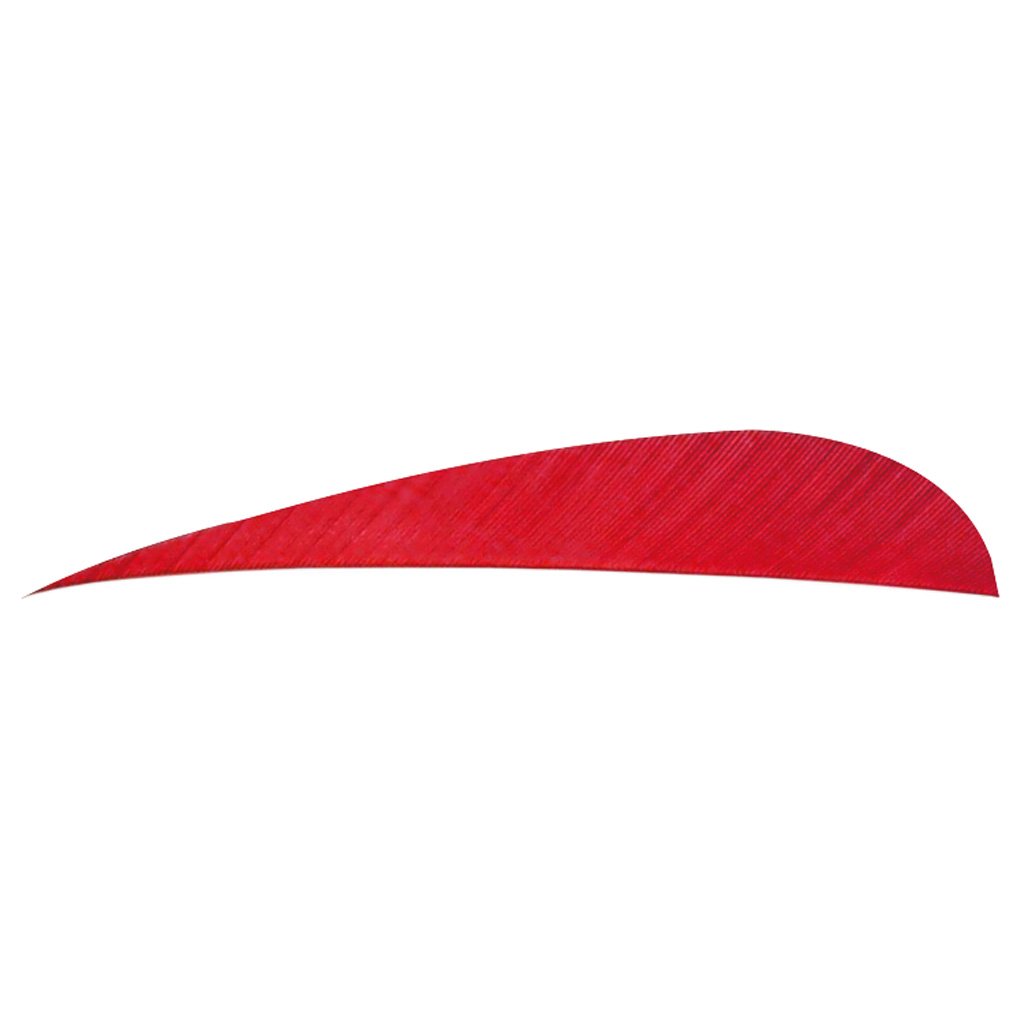 8452_1 Trueflight Parabolic Feathers Red 4 in. RW 100 pk.