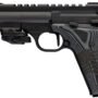 BROWNING BUCKMARK BLACK LABEL - 22LR 4.4" 250TH BLACK RMSC
