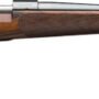 WINCHESTER MODEL 70 SUPER - GRADE 6.5PRC 24" FRENCH WALNT