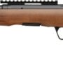 SAVAGE B22 TIMBER THUMBHOLE - 22WMR 18" 10RD BLUED/WOOD