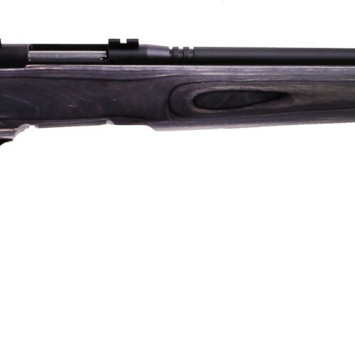 SAVAGE ARMS B.MAG 17WSM BL/LAM HVBBL FLT