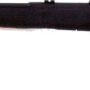 SAVAGE B22F MAGNUM 22WMR 21" - SPORTER BBL ACU-TGR BLACK SYN