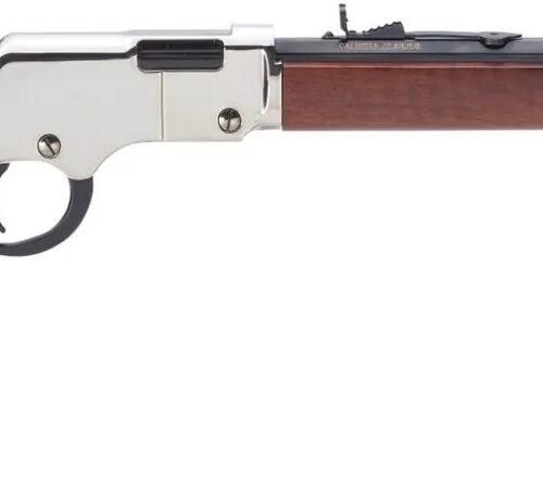 h004sv9b4b HENRY REPEATING ARMS H4 GOLDEN BOY SILVER 17HMR