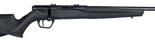 SAVAGE ARMS B17 COMPACT 17HMR BL/SYN 18"