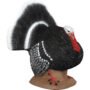 1001090_1.jpg Delta McKenzie Backyard 3D Target Strutter Turkey QuivAR enabled