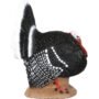 1001090_2.jpg Delta McKenzie Backyard 3D Target Strutter Turkey QuivAR enabled