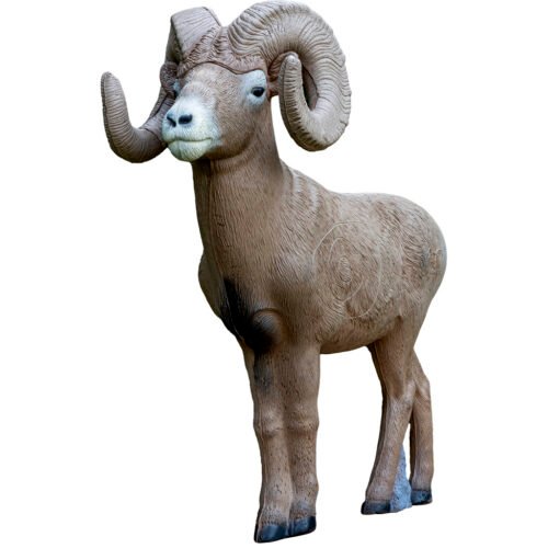 1005452_1.jpg Rinehart 1/2 Scale Signature Bighorn Sheep Target