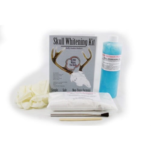 1005895_1 Melby Skull Bleaching Kit