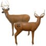 Big Shot Double Duty Buck Target QuivAR Enabled