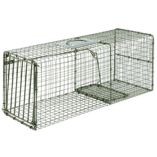 31322_1 Duke Heavy Duty Cage Trap Large